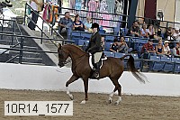 10r14_1577 proof