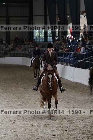 Proof 10r14_1590