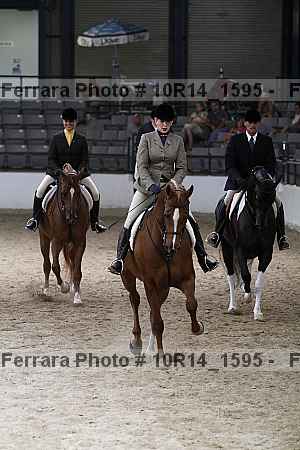 Proof 10r14_1595