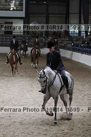 Proof 10r14_1599