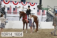 10r14_1604 proof