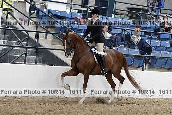 Proof 10r14_1611