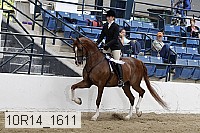 10r14_1611 proof