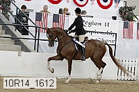10r14_1612 proof