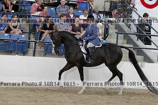 Proof 10r14_1615