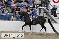 10r14_1615 proof