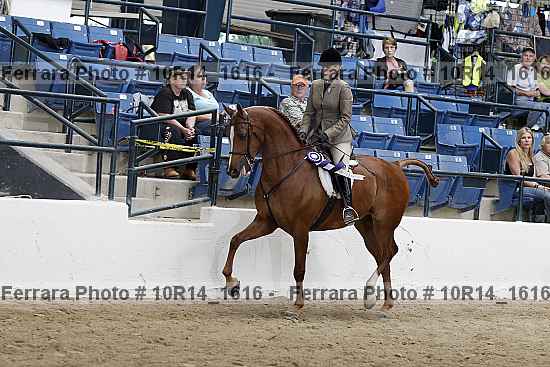 Proof 10r14_1616