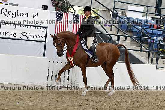 Proof 10r14_1619