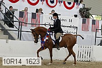 10r14_1623 proof