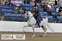 10r14_1647 proof