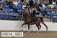 10r14_1651 proof