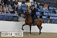 10r14_1652 proof