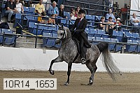 10r14_1653 proof