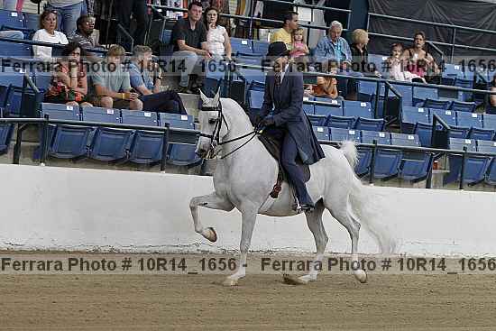 Proof 10r14_1656