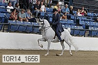 10r14_1656 proof