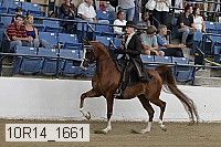 10r14_1661 proof