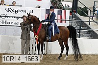 10r14_1663 proof