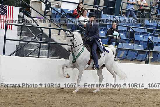 Proof 10r14_1667