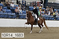 10r14_1683 proof