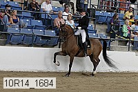 10r14_1684 proof