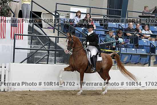 Proof 10r14_1702