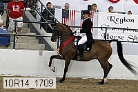 10r14_1709 proof