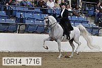 10r14_1716 proof