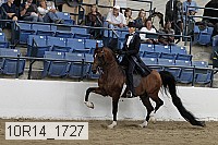 10r14_1727 proof