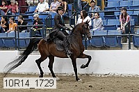 10r14_1729 proof