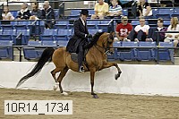 10r14_1734 proof