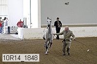 10r14_1848 proof