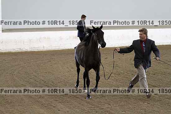 Proof 10r14_1850