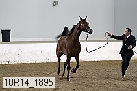 10r14_1895 proof
