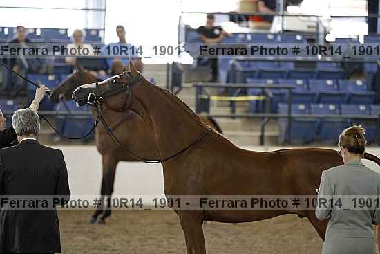 Proof 10r14_1901