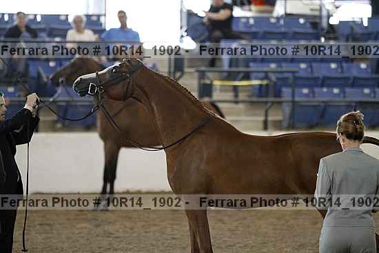 Proof 10r14_1902