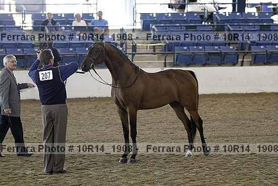 Proof 10r14_1908