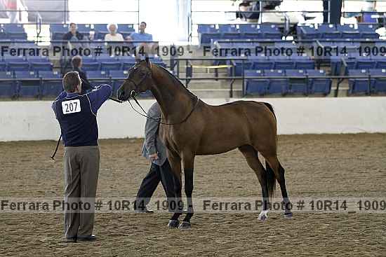 Proof 10r14_1909