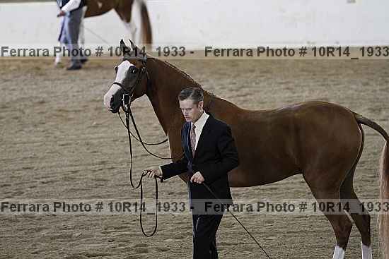 Proof 10r14_1933