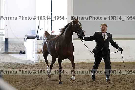 Proof 10r14_1954