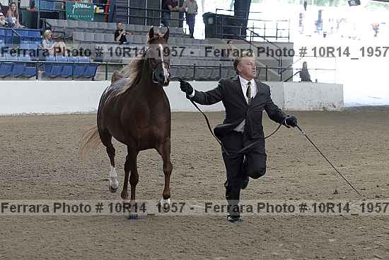 Proof 10r14_1957