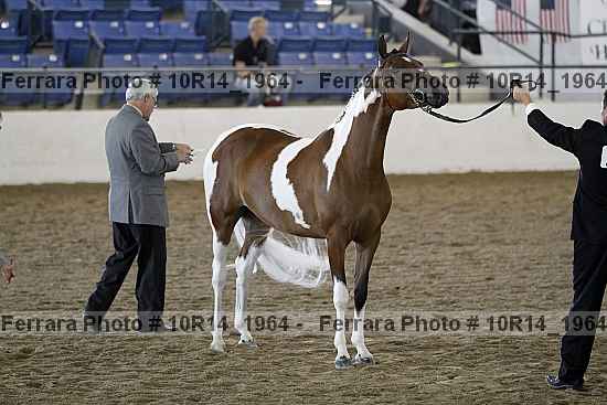 Proof 10r14_1964