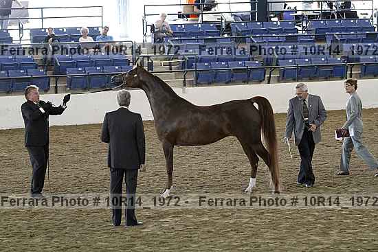 Proof 10r14_1972