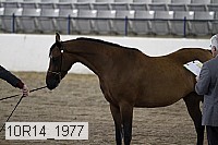 10r14_1977 proof