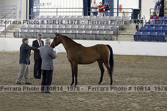 Proof 10r14_1978