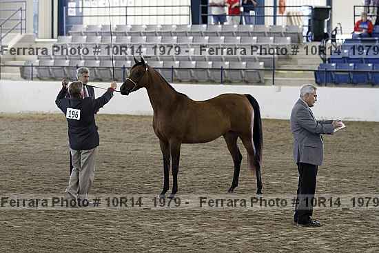 Proof 10r14_1979