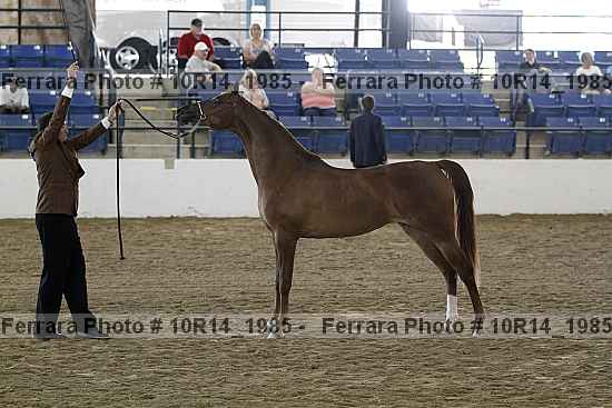Proof 10r14_1985