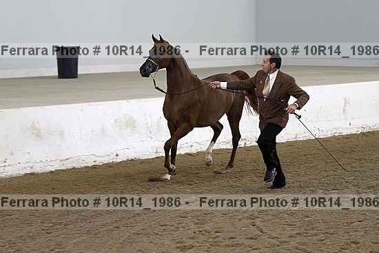 Proof 10r14_1986