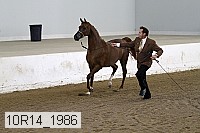 10r14_1986 proof