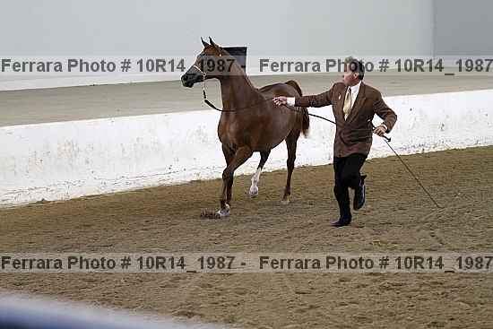 Proof 10r14_1987