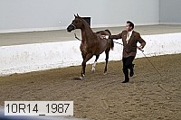 10r14_1987 proof